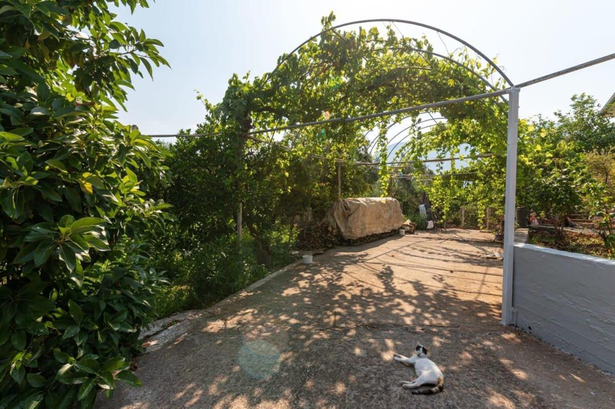 Serene Seaside Bliss - Lush & Secluded Garden Oasis Kalamata Extérieur photo